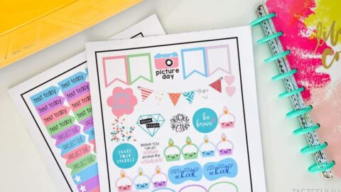 Back To School 2020 Cricut Ideas - Made By A Princess